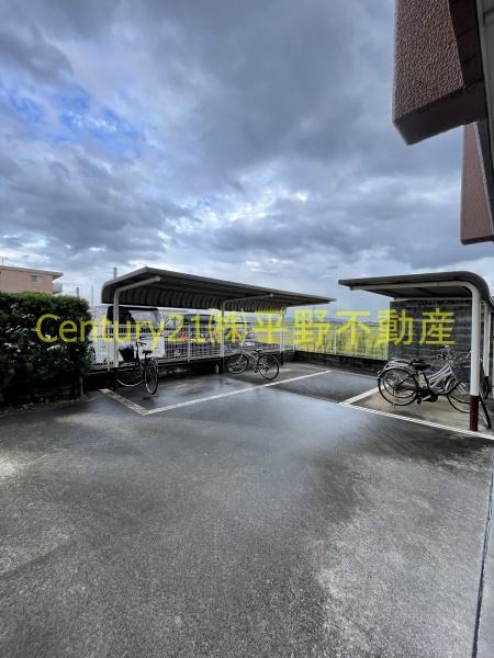 グリーンマンション