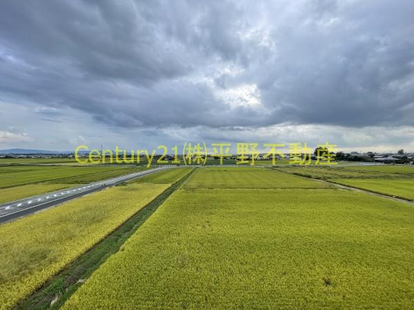 グリーンマンション