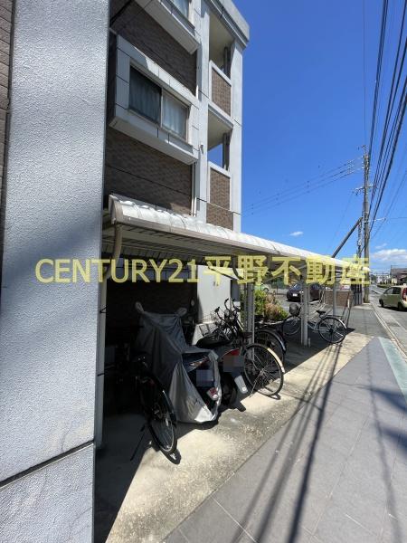フィオーレ