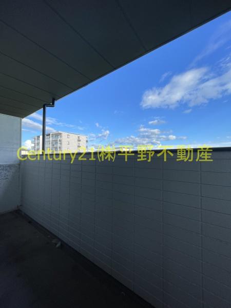 ソレアード