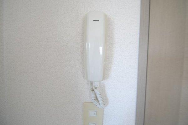 ハイカムール荒木