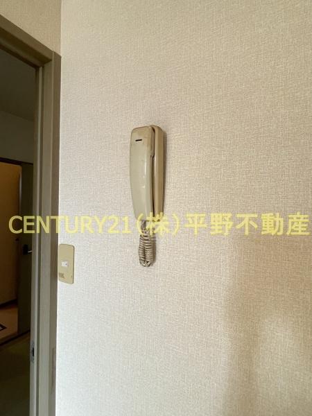 ハイカムール津福