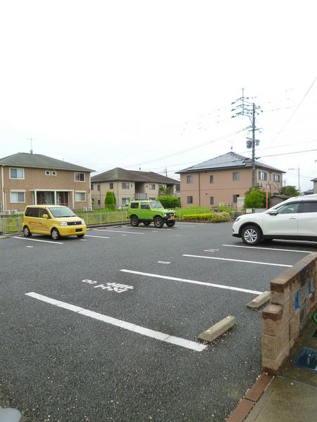 ホワイトクローバー