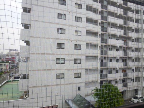 ドリームハウス