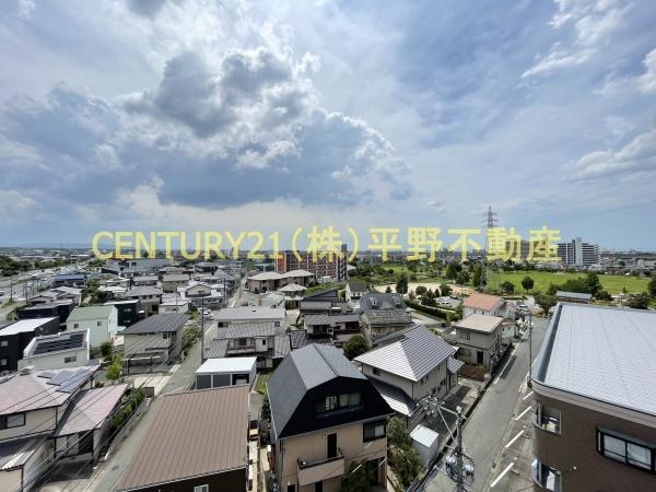 YMクレスト