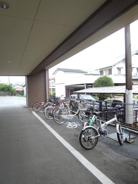 アーニスト国分