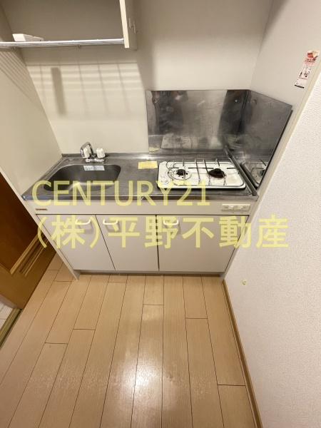 サウスヒルズ(キッチン)