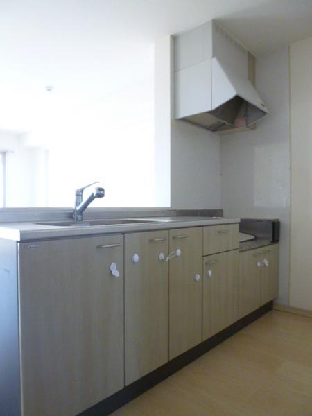 ステラパラッツォ(キッチン)