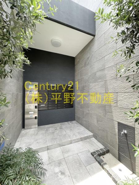 ウィリング　コージー