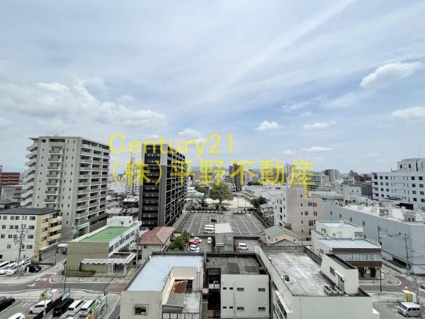 ウィリング　コージー