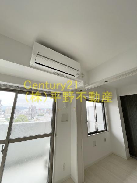 ウィリング　コージー