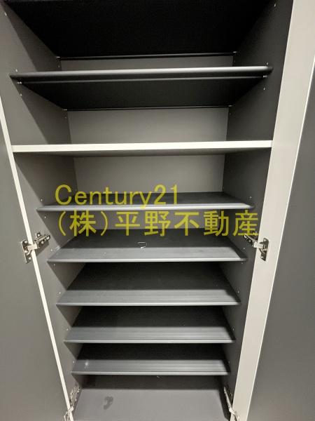 ウィリング　コージー