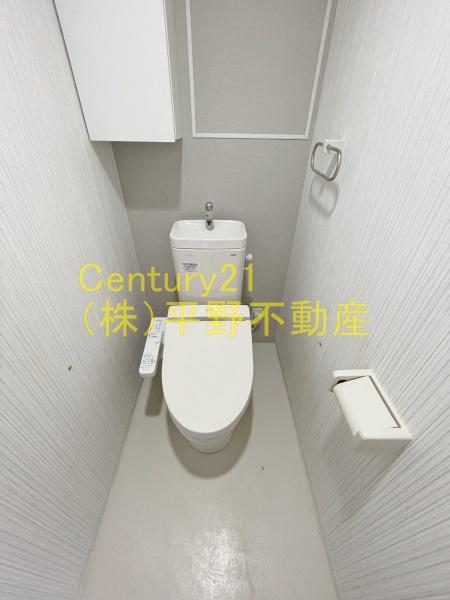 ウィリング　コージー