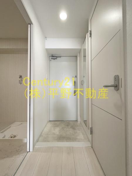 ウィリング　コージー