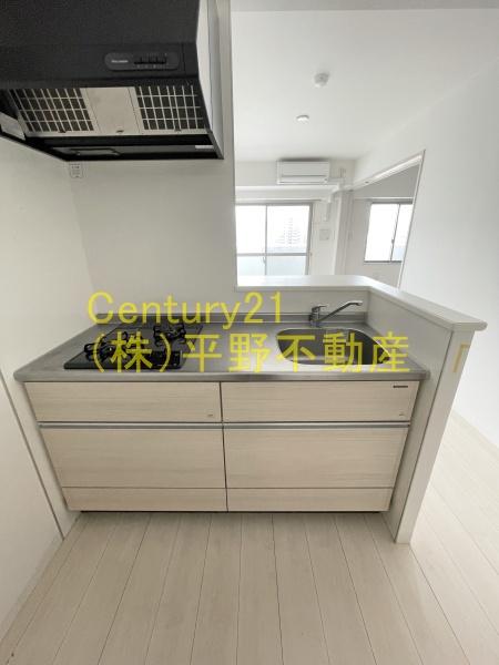 ウィリング　コージー