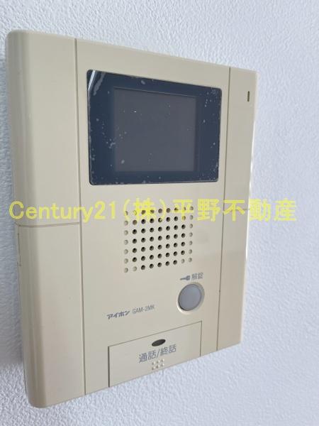 インポート久留米ルビー5