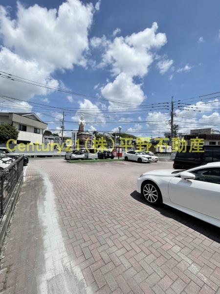 インポート久留米ルビー5