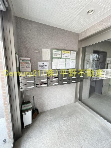 インポート久留米ルビー5