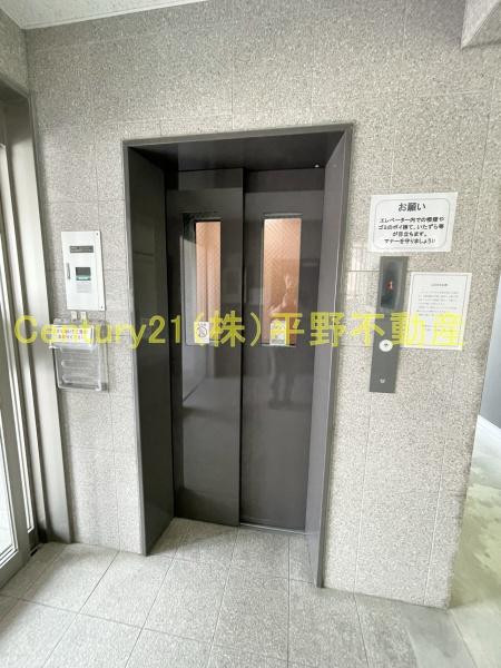 インポート久留米ルビー5