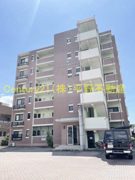 インポート久留米ルビー5