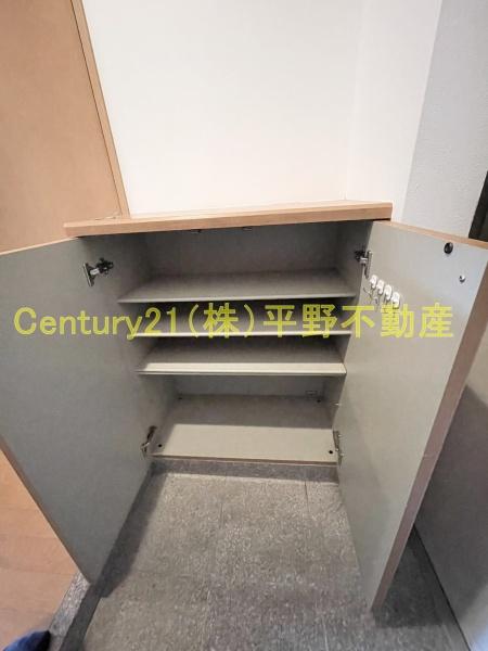 インポート久留米ルビー5