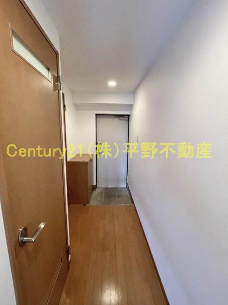 インポート久留米ルビー5