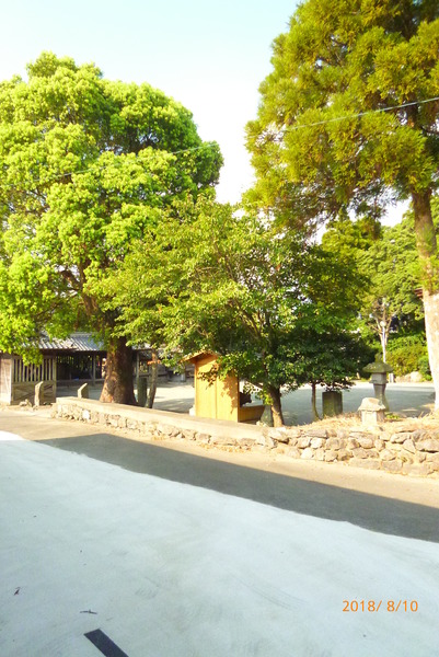 サンマリノ草野　Ａ棟