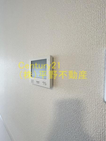 LilyGold（リリーゴールド）