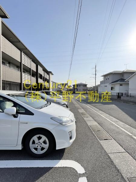 LilyGold（リリーゴールド）