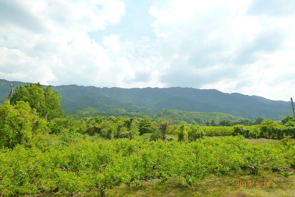 グリーンハイツ鷹取