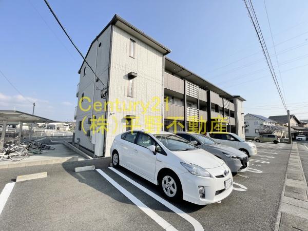 LilyGold(リリーゴールド)