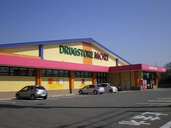 スリジエ　リアン　セカンド　C棟(ドラッグストアモリ長門石店)