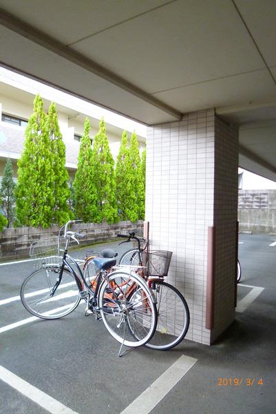 ブランドルフ