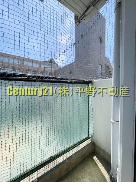 トランプヒルズ