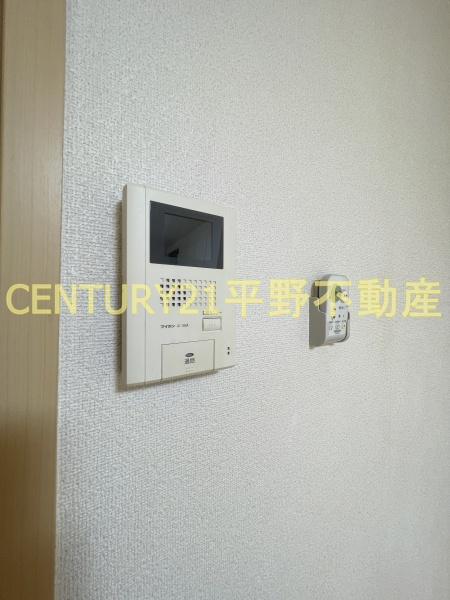 プラシード