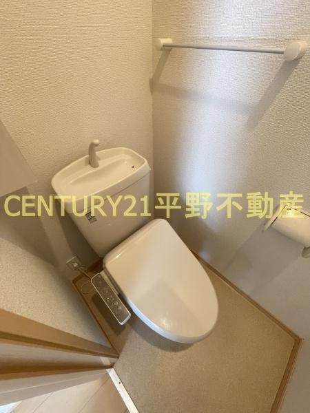 プラシード
