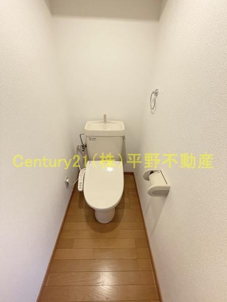 グリーン花水木