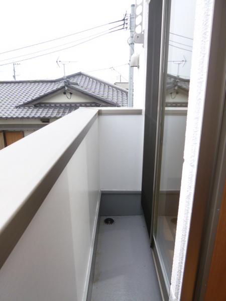 しおん