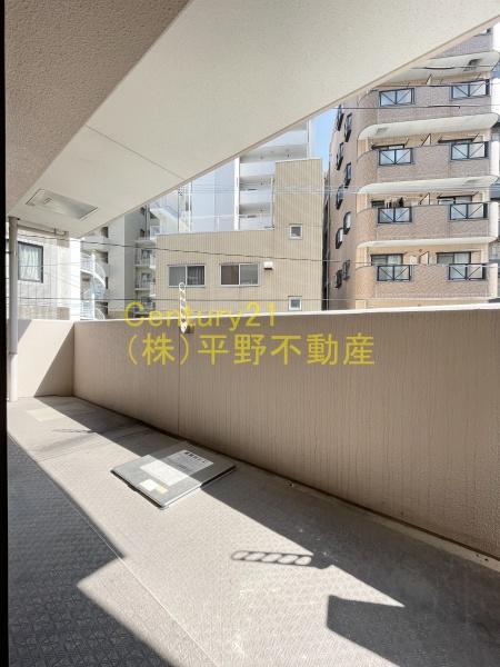 ラグラシューズシェソワアオキ