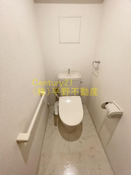 ラグラシューズシェソワアオキ