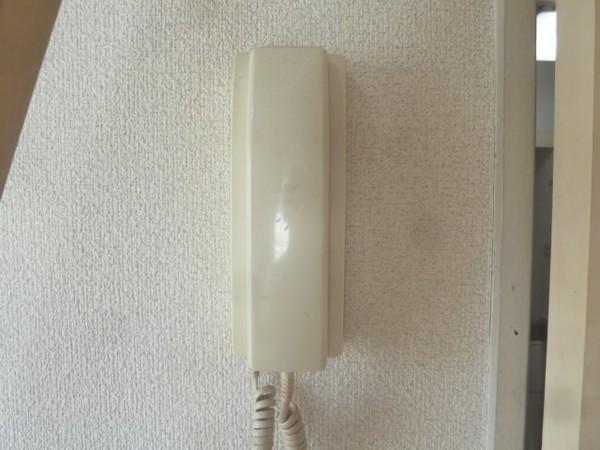 スターハウス