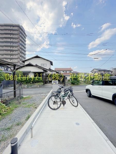 ダンデライオン