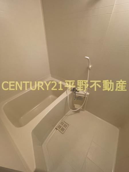 ビューカトレア
