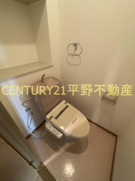ビューカトレア