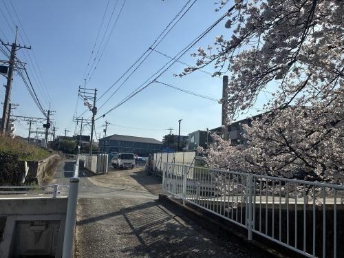 ステラガーデン