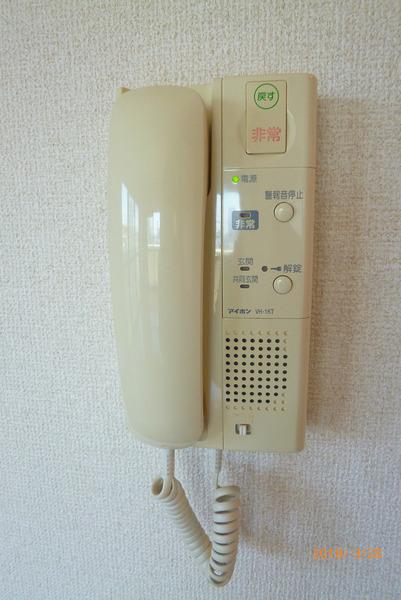 サングリーン国分