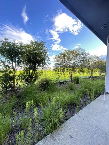 ソレアード