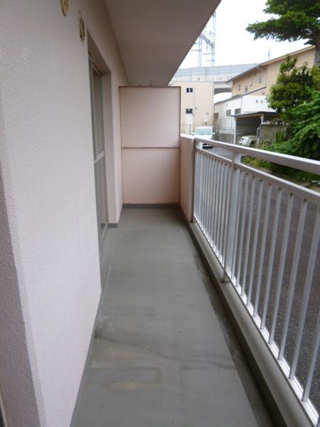 シェル幹