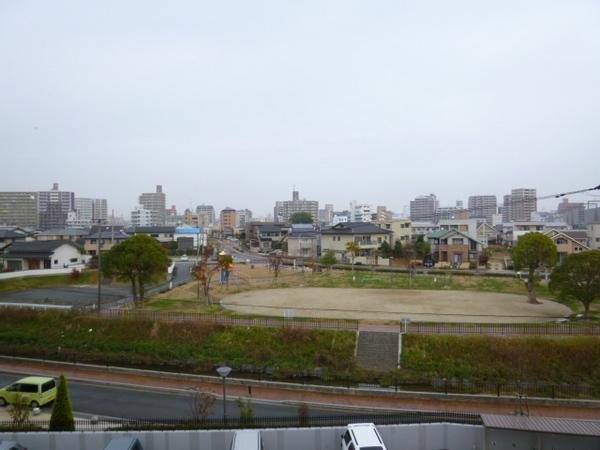 シェル幹