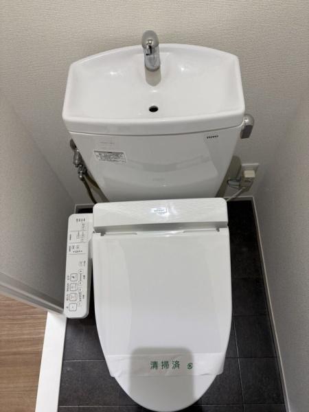 サクラメント日吉